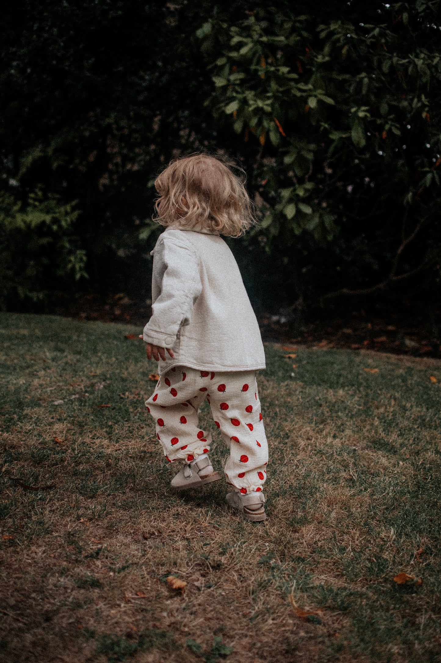 Breeze Cotton Trousers - Ladybug