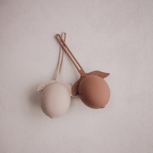 Lemon Pacifier Case